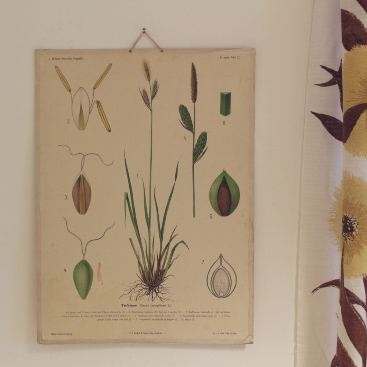 Tufstarr koulujuliste featured image